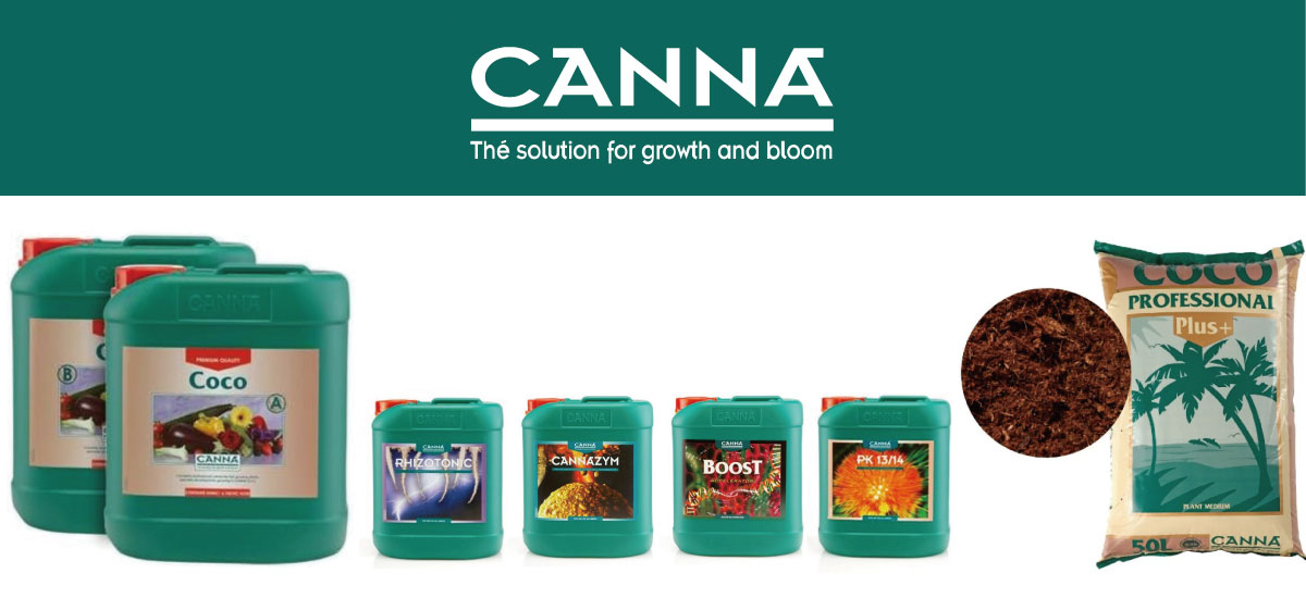 canna-top1200.jpg