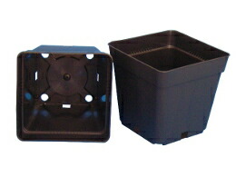 水耕栽培の自然緑商事