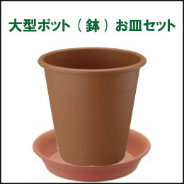 水耕栽培の自然緑商事