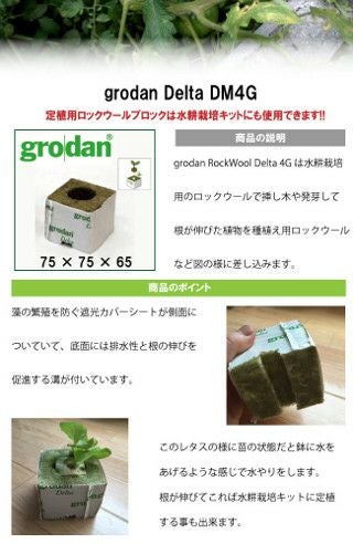 grodan Delta DM4G 定植用ロックウールブロックは水耕栽培キットにも